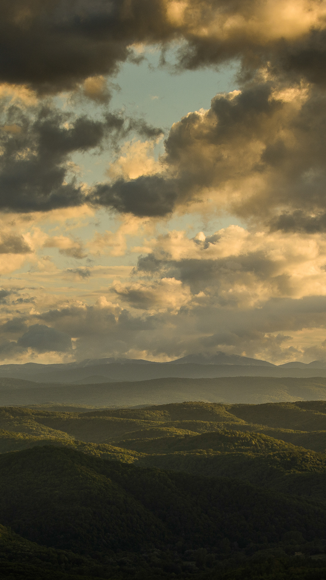 Панорама към горите около Кондолово